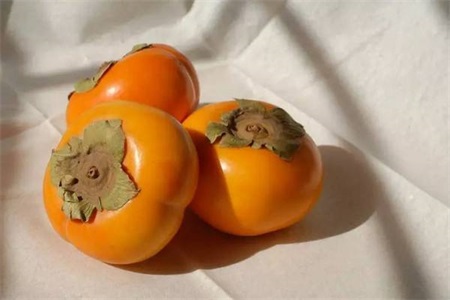 Persimmons